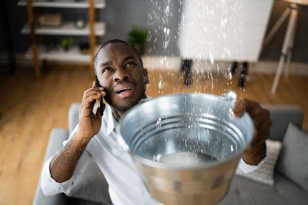 Best Flooded house restoration  in Central City, IL