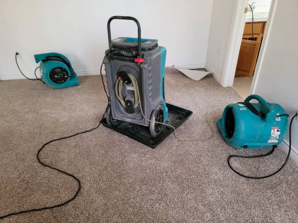 Best 24-hour water damage restoration  in Central City, IL