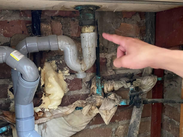 Best Basement water damage restoration  in Central City, IL
