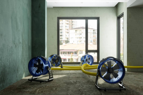 Best Water damage restoration near me  in Central City, IL